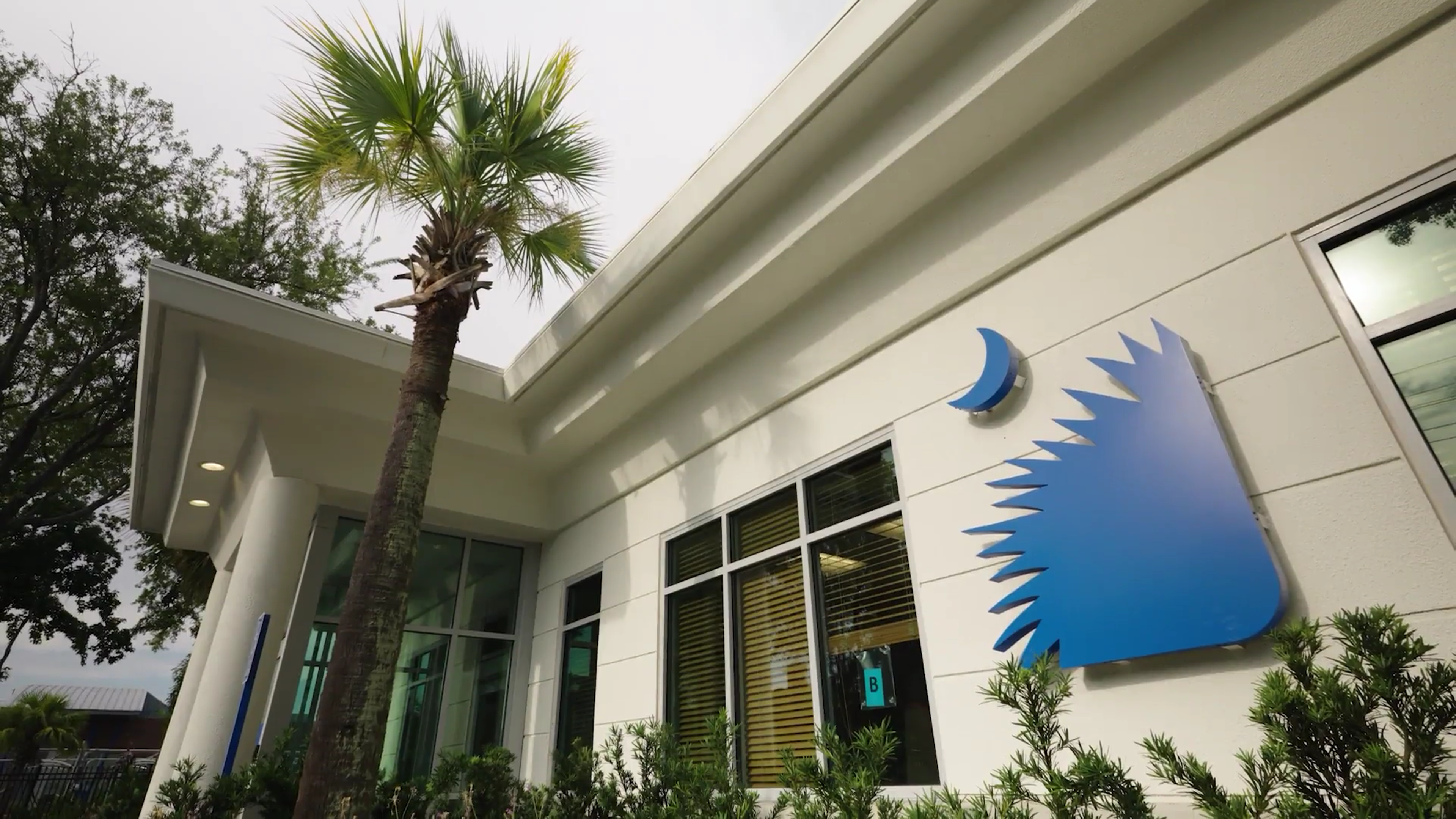 439026f30df380c76862b6a71a3d6449a5c5a996