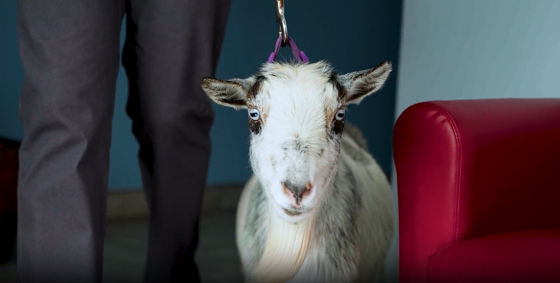 c8203528cbc59d6beceb3a9a594567b42b424a27